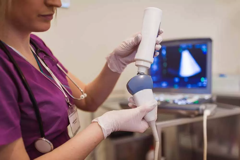 Ginekološki ultrazvuk - pregled